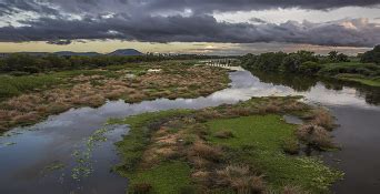 Restoration of Thamirabarani River