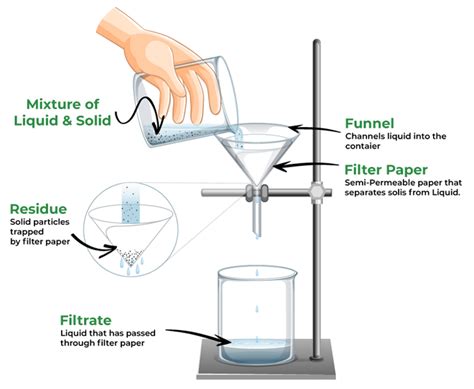 Filtration: Definition, Process, Diagram and Examples