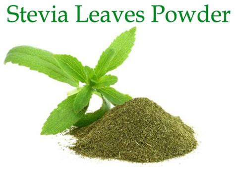 Stevia Leaves Powder at Best Price in Patiala - ID: 952390 | Ozzy ...