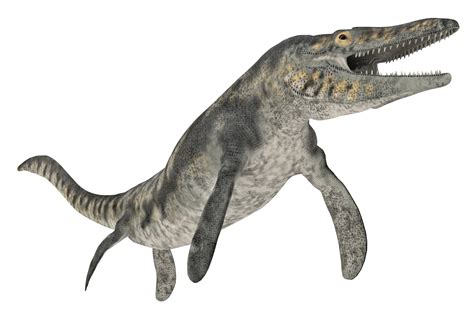 How Large Did Mosasaurs Get? - FossilEra.com