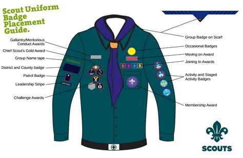 Scout Badge Positions | 30th North Leeds Falkoner Scout Group