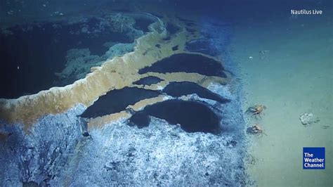 Check Out These Cool ‘Underwater Lakes’ in Gulf of Mexico - Videos from ...