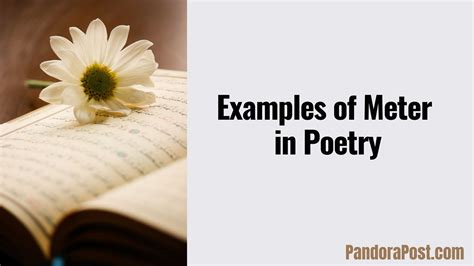 Examples of Meter in Poetry with Explanation - Pandora Post