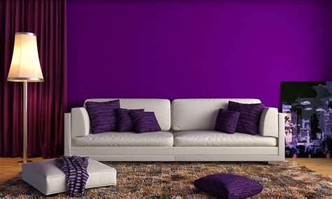 Bold Purple Wall Paint for Your Home