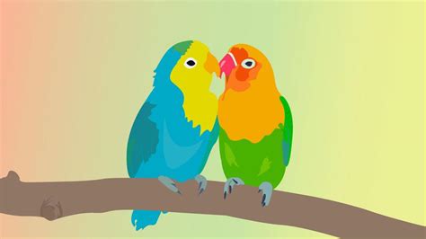 Beautiful Love Birds Making Love Vector Illustration 652392 Vector Art ...