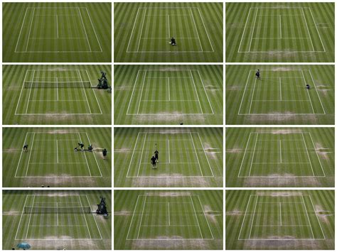 Photos show how much Wimbledon's grass changes over two weeks ...