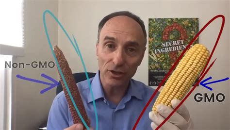 Farmer Conducts Experiment Using GMO and Non-GMO Corn, Discovers ...