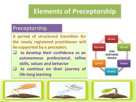 Preceptorship overview and framework