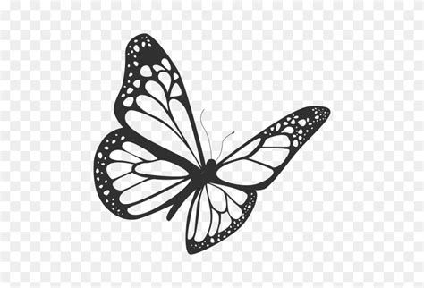 Monarch Butterfly Vector Black White