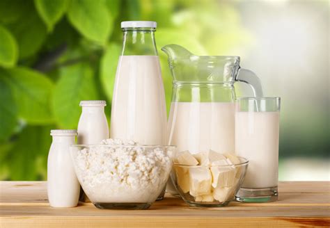 Important Nutrients Found in Dairy Protein | Blog