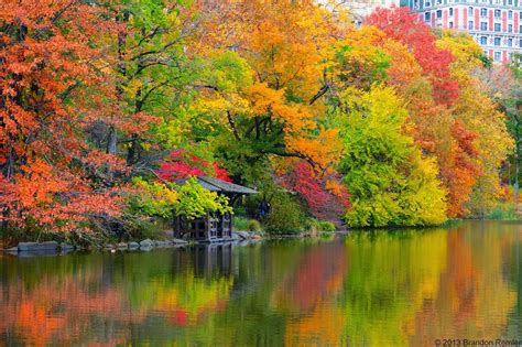 Thoughts From My Camera: Central Park Fall Colors