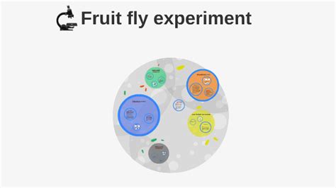 Fruit fly experiment by michael melton on Prezi