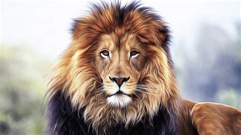 THE MAJESTIC LION - A Tribute King of the African Jungle - YouTube