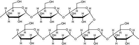 Chemical structure of a section of amylopectin. | Download Scientific ...