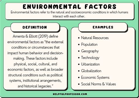 15 Environmental Factors Examples