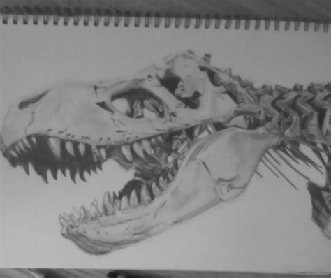 Dino Skeleton by LordJekyll on DeviantArt