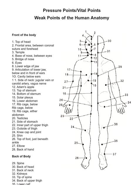 Pressure Points-Vital Points and Weak Points of the Human Anatomy