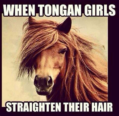 Tongan Horse Jokes | Freeloljokes