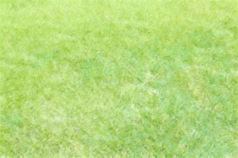 Grass Texture 이미지 – 찾아보기 1,286,366 스톡 사진, 벡터 및 비디오 | Adobe Stock