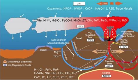 [DIAGRAM] Deep Sea Vents Diagram - MYDIAGRAM.ONLINE