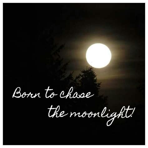 Moonlight Quotes - ShortQuotes.cc