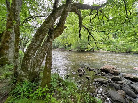 3 Best Rivers to Go Tubing in the Smoky Mountains (+ Top Outfitters ...