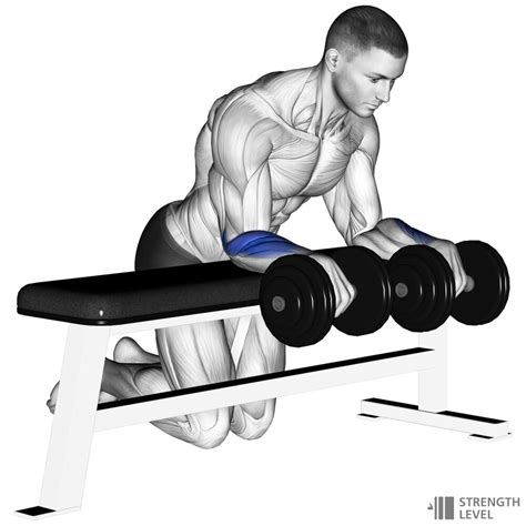 Dumbbell Reverse Wrist Curl Standards for Men and Women (kg) - Strength ...