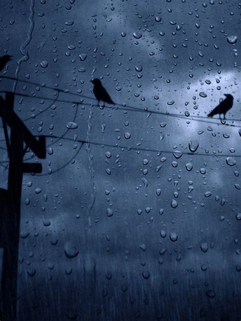 Gloomy Weather Wallpaper