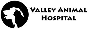 Visit Valley Animal Hospital in Palmyra, PA!