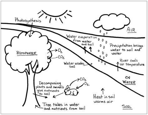 biosphere images to draw - daniellesmithintrotovisual