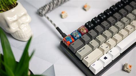 Zaokrúhlite nadol predchodca domáce zvieratá custom mechanical keycaps ...