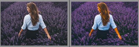 Vibrance vs Saturation in Photography (Which One to Use)