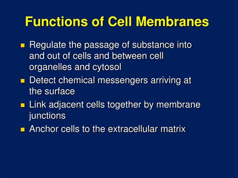 PPT - Cell Membrane Structure and Function PowerPoint Presentation - ID ...