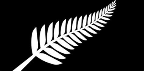 Silver Fern Sports Flag - Silver Fern Flag