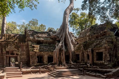 Ta Prohm Temple - New Mandala