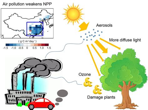 Effects Of Air Pollution