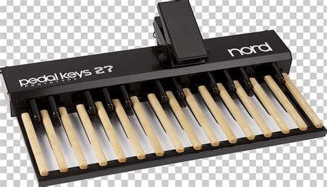 Nord Stage Pedal Keyboard Bass Pedals Piano Pedals PNG, Clipart, Bass ...