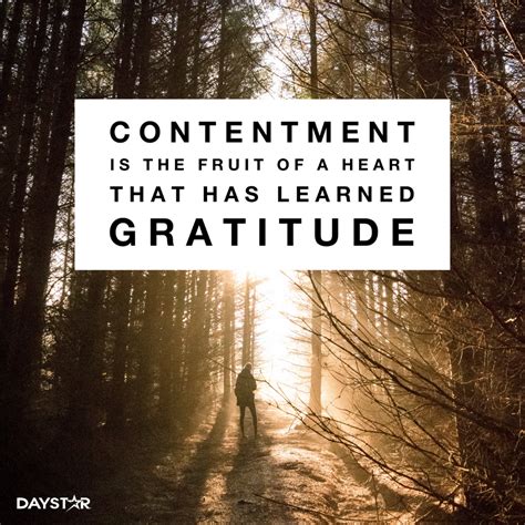 The Power of Gratitude