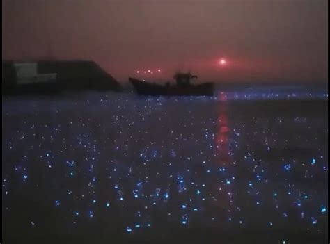 Sea of stars. Bioluminescence in the rain. : r/BeAmazed