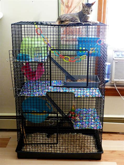 rat cage design - חיפוש ב-Google | Animaux