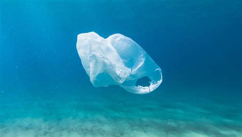 Another Chinese boat found dumping rubbish in ocean | Newshub