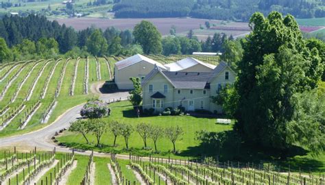 Oregon Wine Tasting Tour - America's Hub World Tours