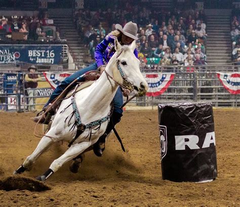 PRESS RELEASE: Stock Show Debuts New Pro Rodeo Format | National ...