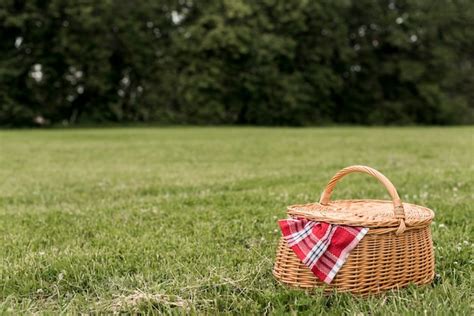 Premium Photo | Picnic basket on park grass