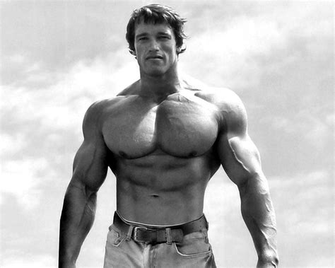 Arnold Schwarzenegger - WadoodBriaa