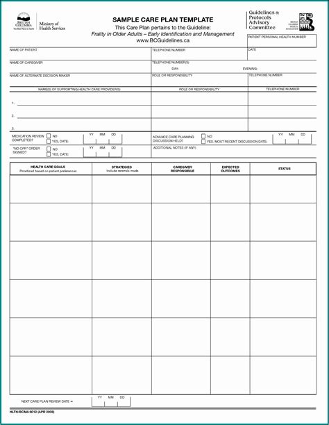 Geriatric Care Plan Template - Template 1 : Resume Examples #v19xJdZV7E