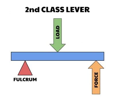 Basic Biomechanics: Levers