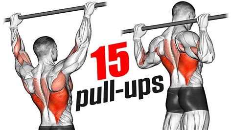 15 types of Pull Ups (Beginner to Advanced) - YouTube