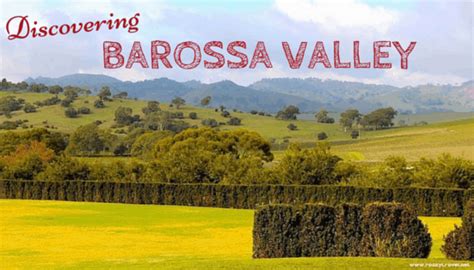 Discovering Barossa Valley on a Food and Wine Tour