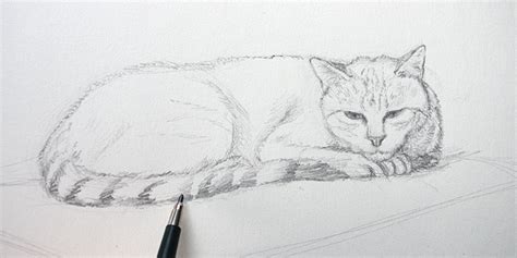 DESSINER UN CHAT COUCHÉ : TUTORIEL EN VIDÉO (ÉPISODE 2)